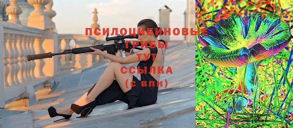 стаф Горнозаводск