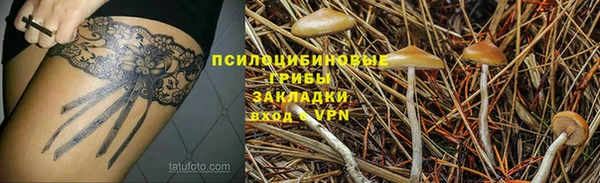стаф Горнозаводск