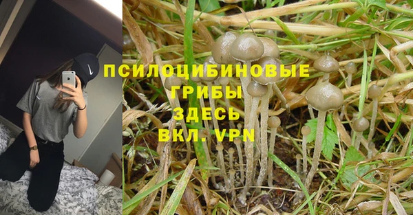 гашиш Горняк