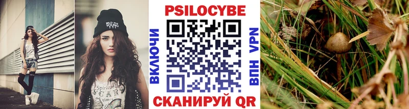 Псилоцибиновые грибы Psilocybe Купить закладки Городовиковск